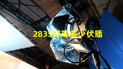 2835灯珠多少伏插头 2835灯珠多少v